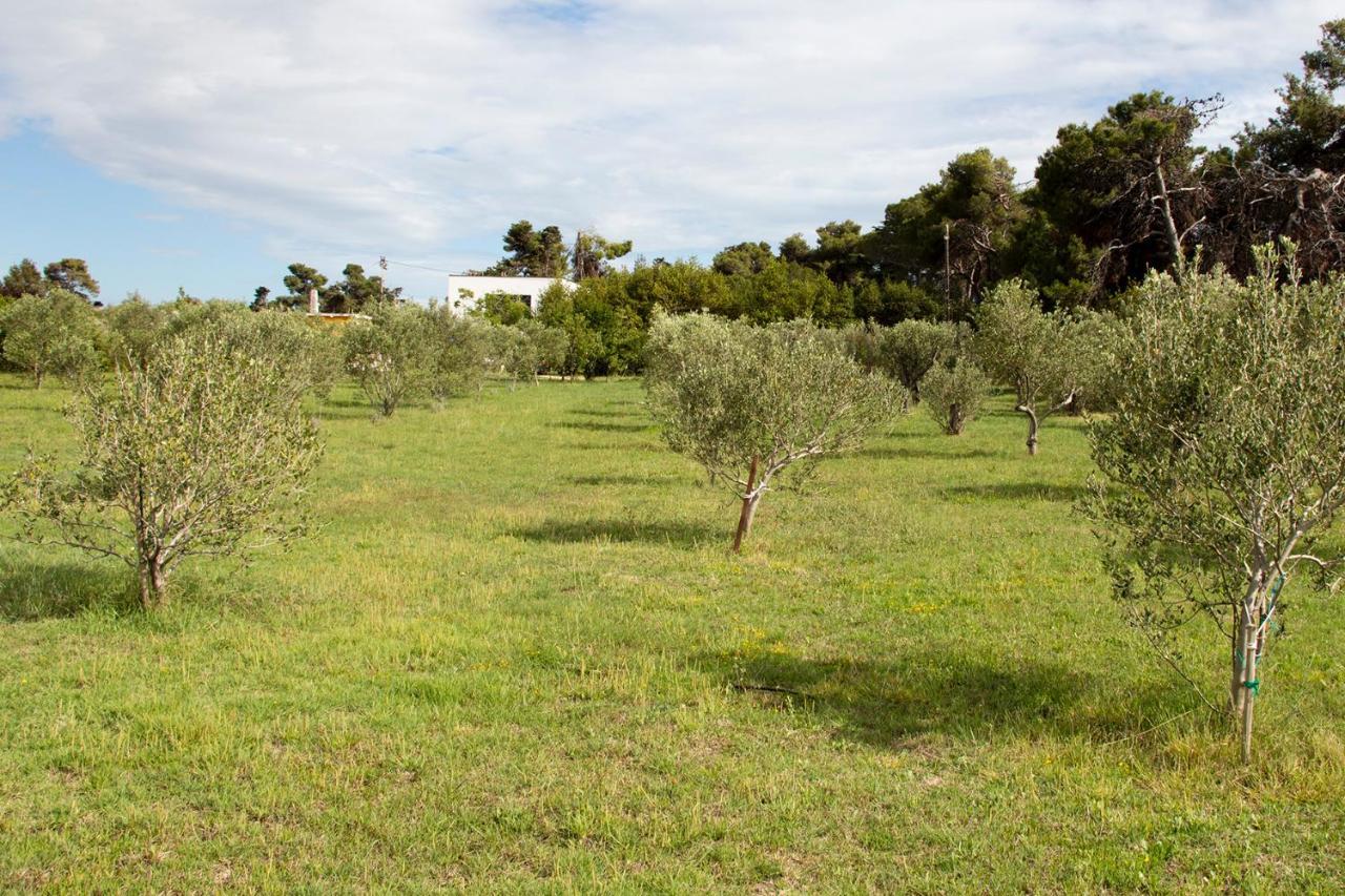 Villa Rosemary Park Zadar Dış mekan fotoğraf