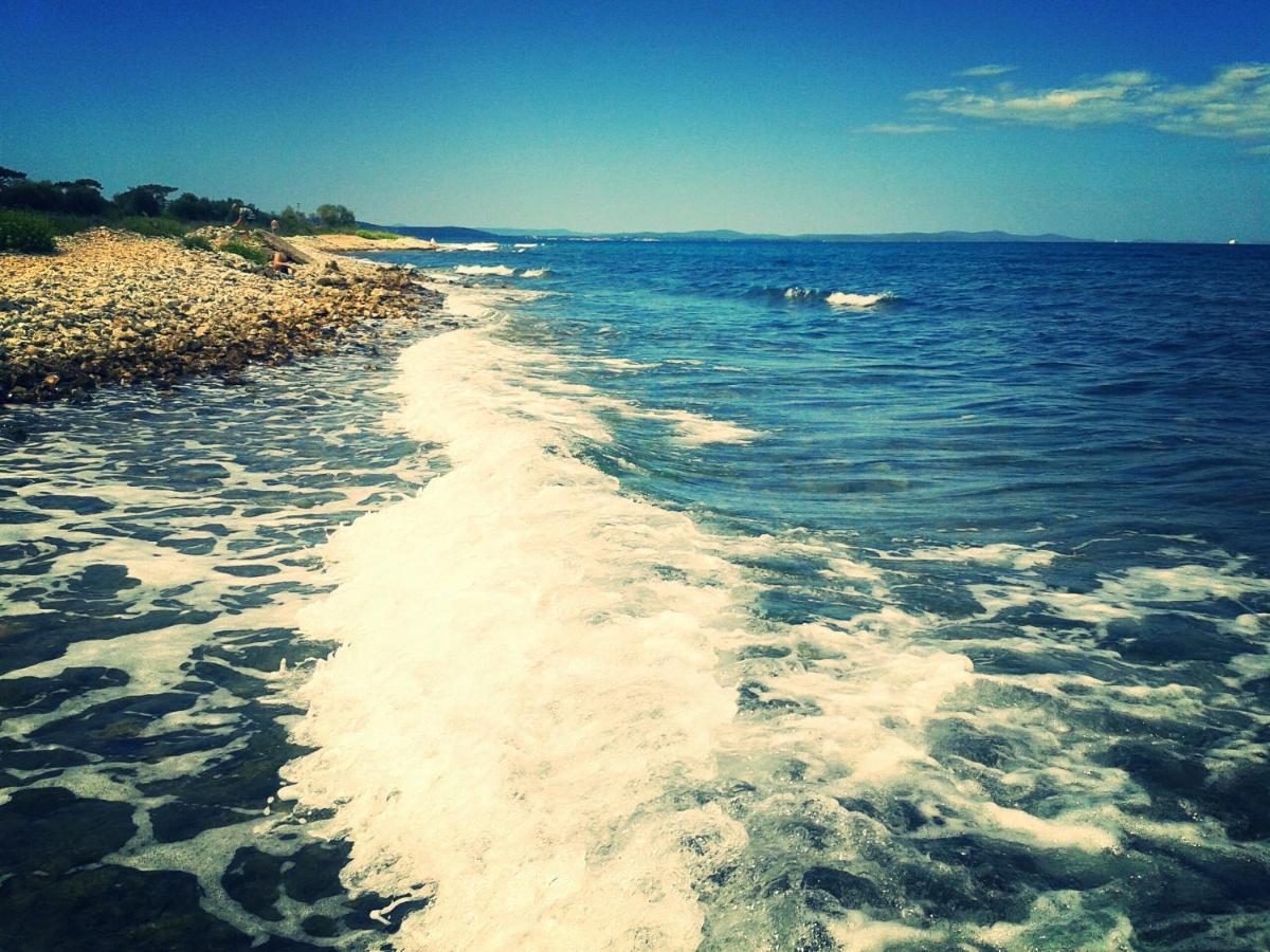 Villa Rosemary Park Zadar Dış mekan fotoğraf