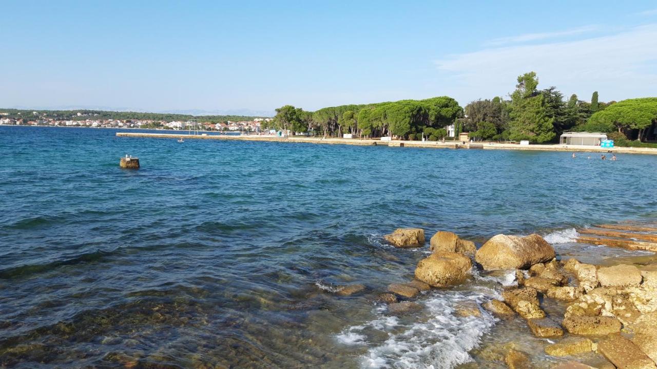 Villa Rosemary Park Zadar Dış mekan fotoğraf