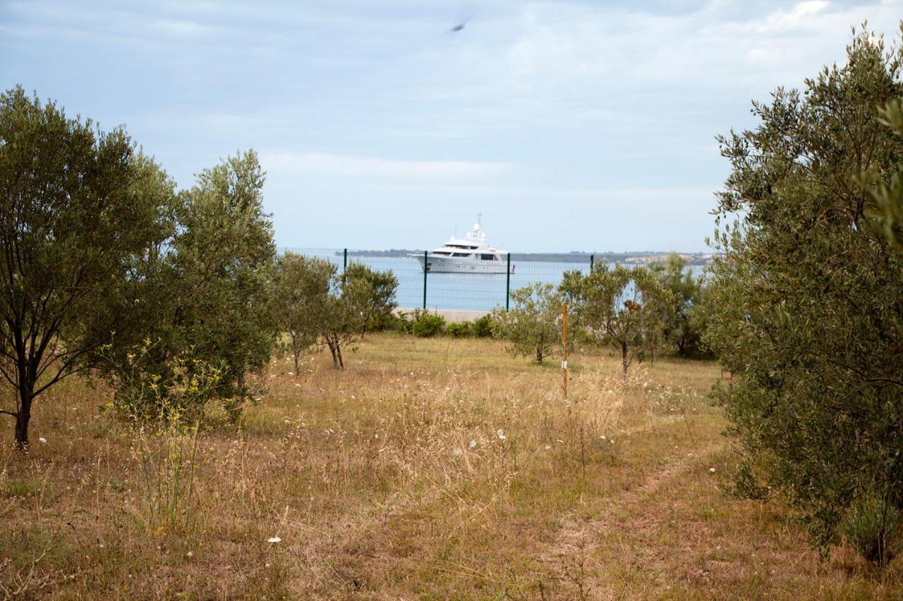 Villa Rosemary Park Zadar Dış mekan fotoğraf