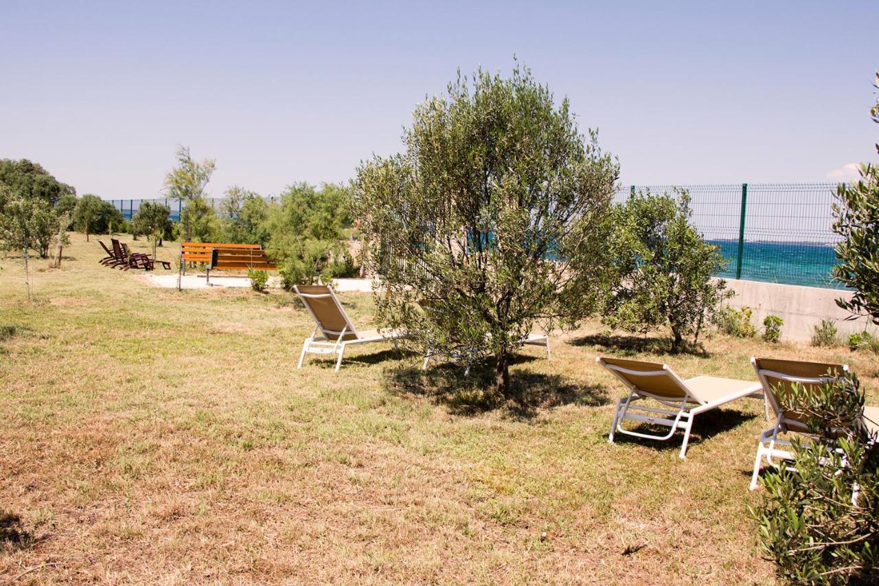 Villa Rosemary Park Zadar Dış mekan fotoğraf
