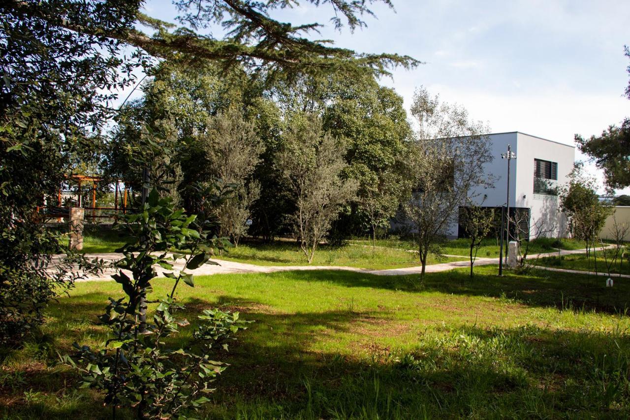 Villa Rosemary Park Zadar Dış mekan fotoğraf