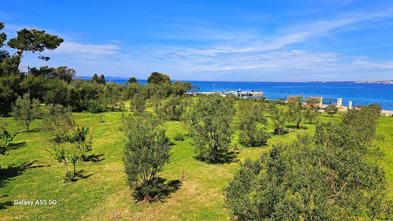 Villa Rosemary Park Zadar Dış mekan fotoğraf